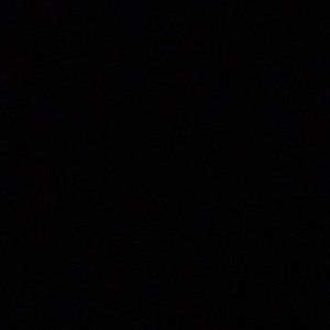 Meet your Posher, Joey